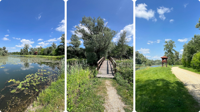 Staza Svetomartinska Mura