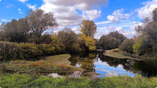 Ušće Gliboki na Dravi