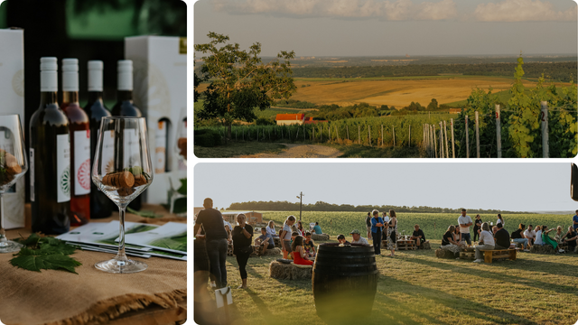 Đakovačka vina i Mandićevac