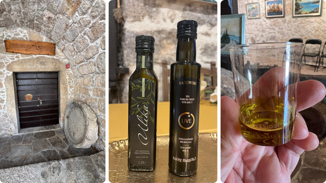 Galerija TOŠ degustacija ulja