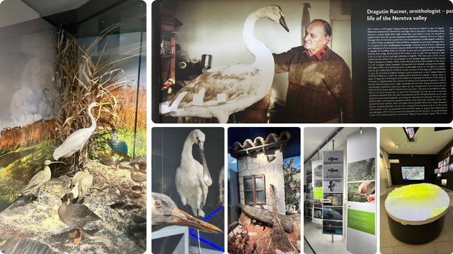 Prirodoslovni muzej Metković